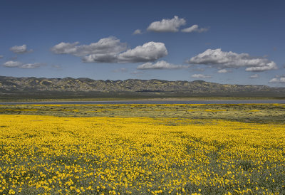 Carrizo Plains - California