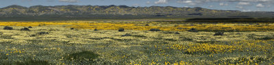 Soda Lake - Carrizo Plains - California