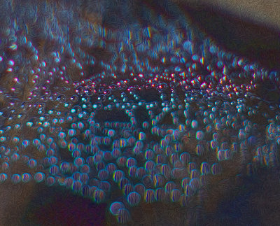 Aberration - Dew Drops on Spider Web - Kiger Family Vineyard -Santa Rosa, California