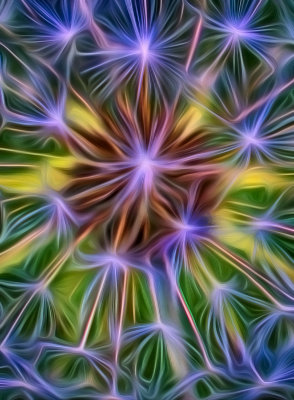 Dandelion Seed Head Abstract 