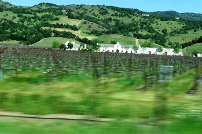 A Napa valley vineyard.