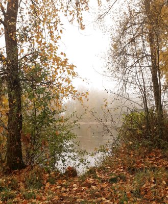 The Williamette River at Marshall Island boat ramp.