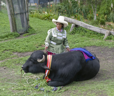 Cajamarca, Per