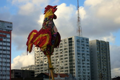 GALO DA MADRUGADA / RECIFE / PERNAMBUCO / BRASIL: 25.02.2017