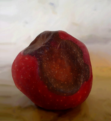 Snow White's poisoned apple -523