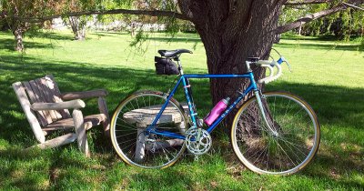 Orbea24.jpg