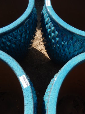 DSCN4748.JPG
