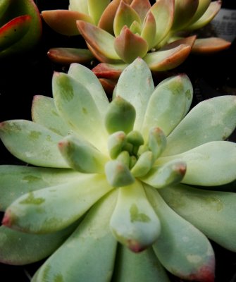 DSCN5503.JPG