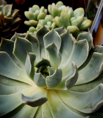 DSCN5506.JPG