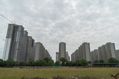 DSC03678.jpg