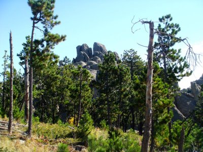The Little Tower in the distance