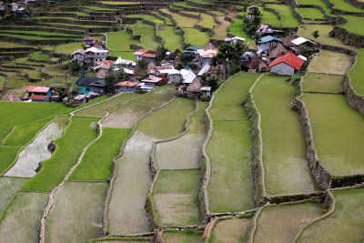  Batad Rice Terraces