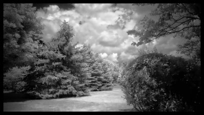 IR 01 low res.jpg