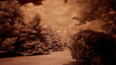 Original  IR 01 low res.jpg