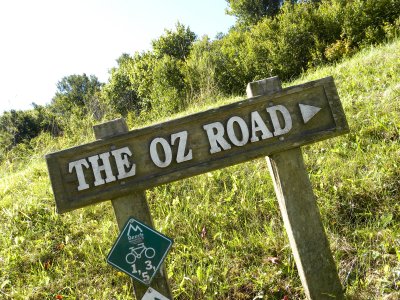 The Oz Road