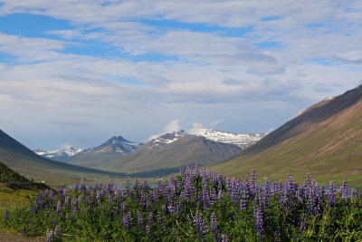 Olafsfjordur