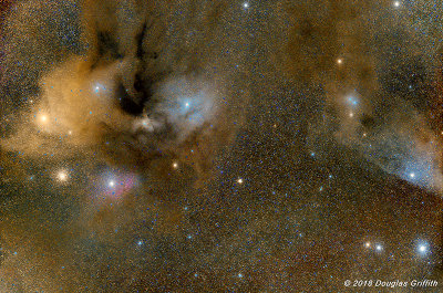 Celestial Explosion of Colour: Rho Ophiuchus Cloud Complex and The Blue Horsehead Nebula (IC 4592)
