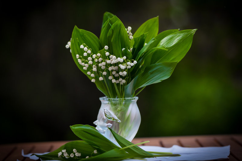 Lilies of the Valley