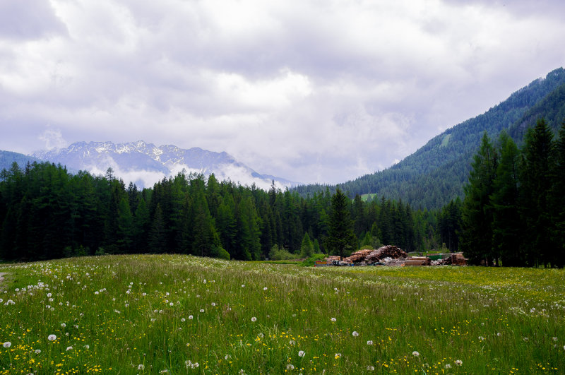 Early Summer in Tyrol