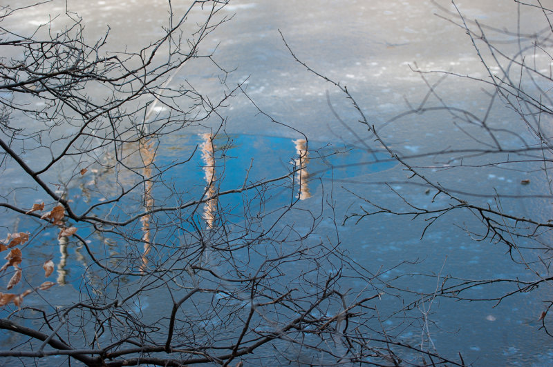 Ice Reflections