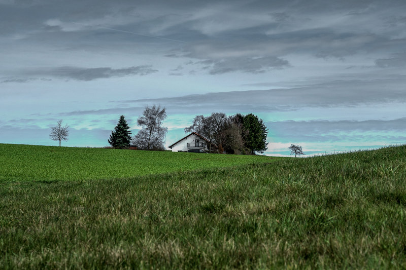 House on the Hill