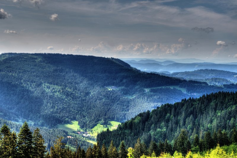 Black Forest /Schwarzwald