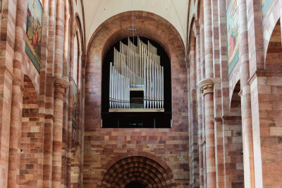 Main Organ