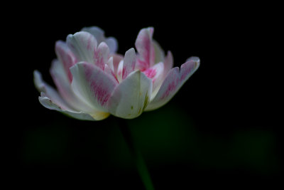 g10/80/968480/3/167430873.KC9FpjJU.jpg