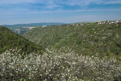 Village on the Hill 