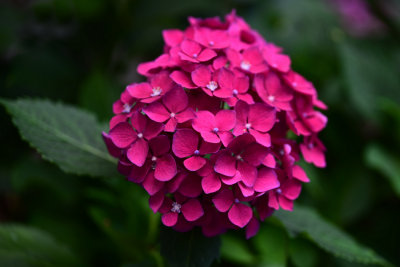 g10/80/968480/3/167873603.FgiXueXo.jpg