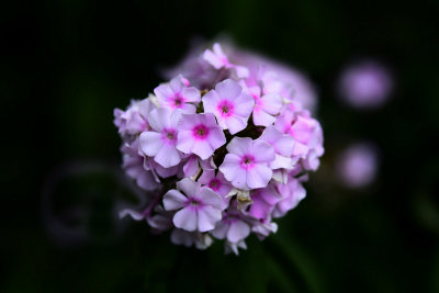 g10/80/968480/3/168061984.ynQ2VvNd.jpg