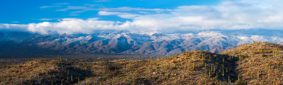 Misty Mountain Top