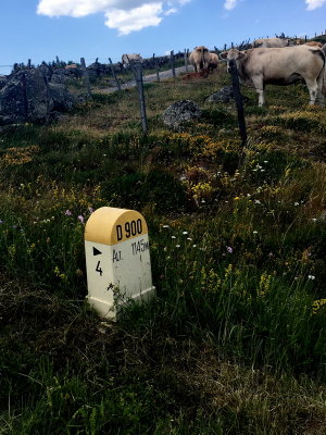 Les Monts d'Aubrac