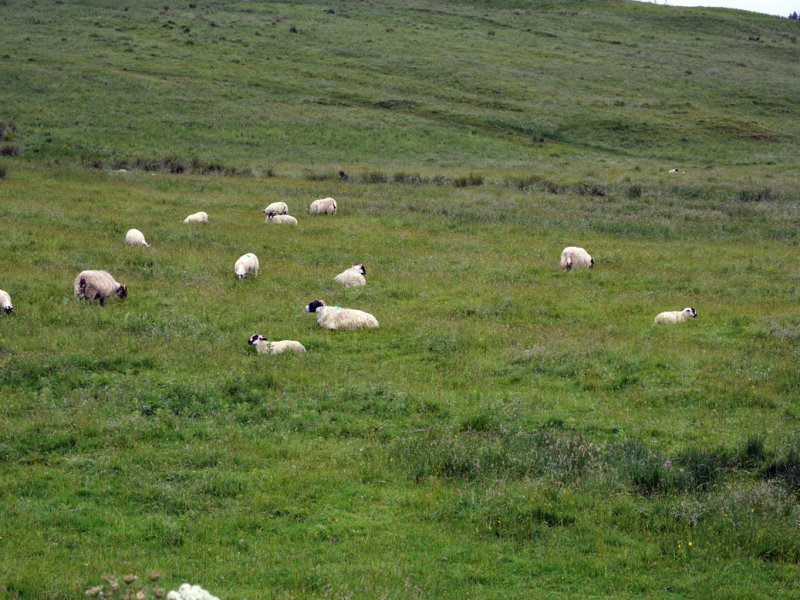 432_OM1A0061.JPG