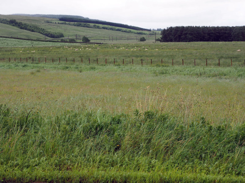 439_OM1A0068.JPG