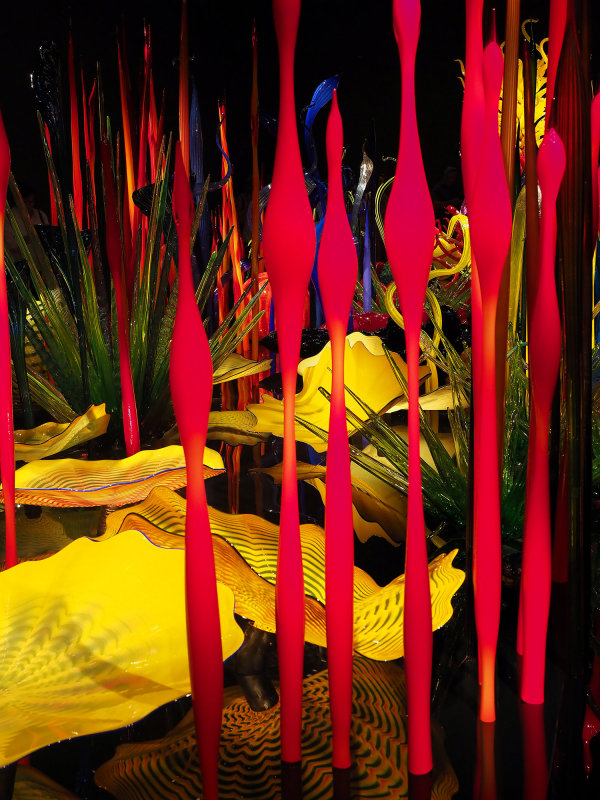 082_OM1B1207.JPG