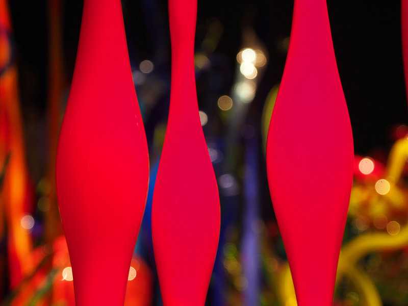 083_OM1B1208.JPG