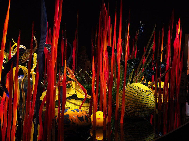 090_OM1B1222.JPG