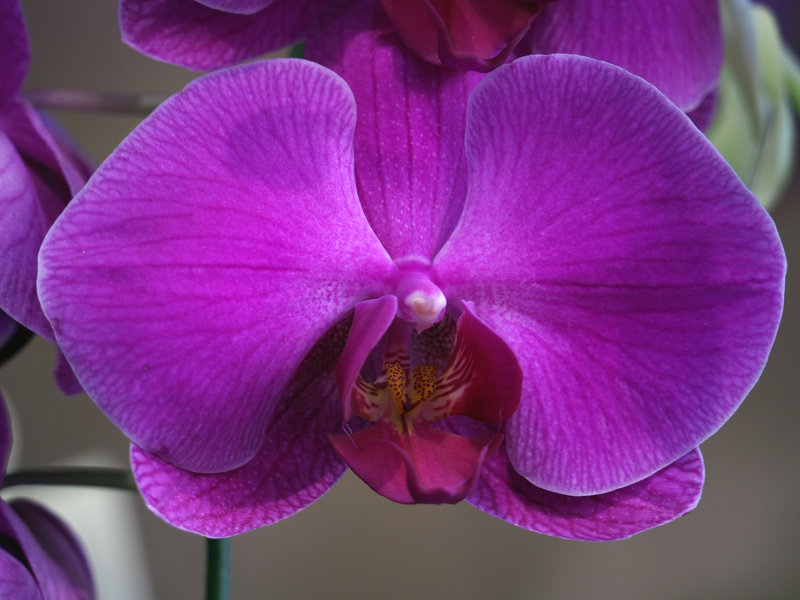 042_OM1B0117.JPG