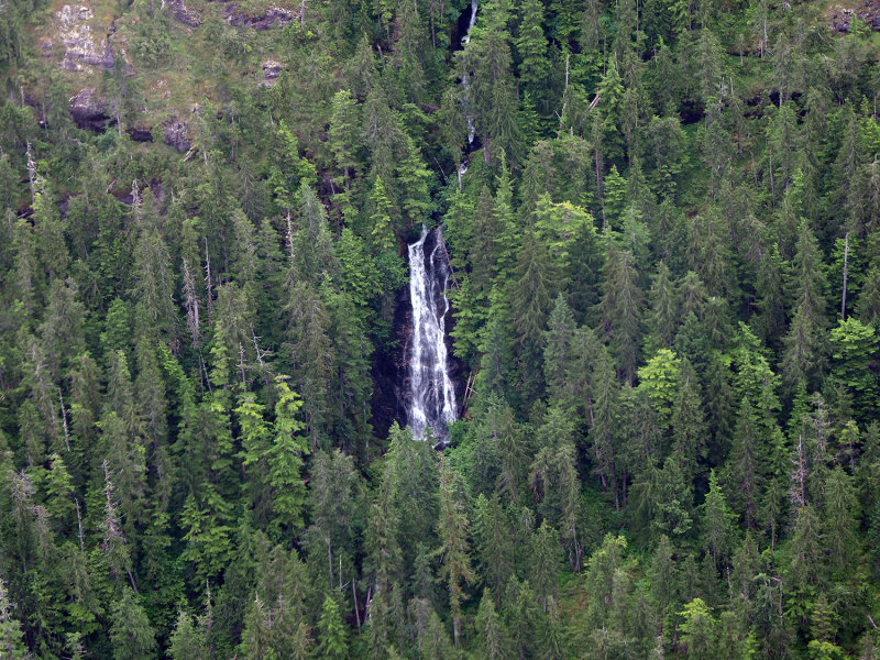080_OM1A0435.JPG