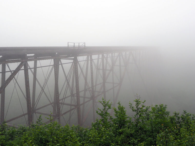 151_OM1A0736.JPG