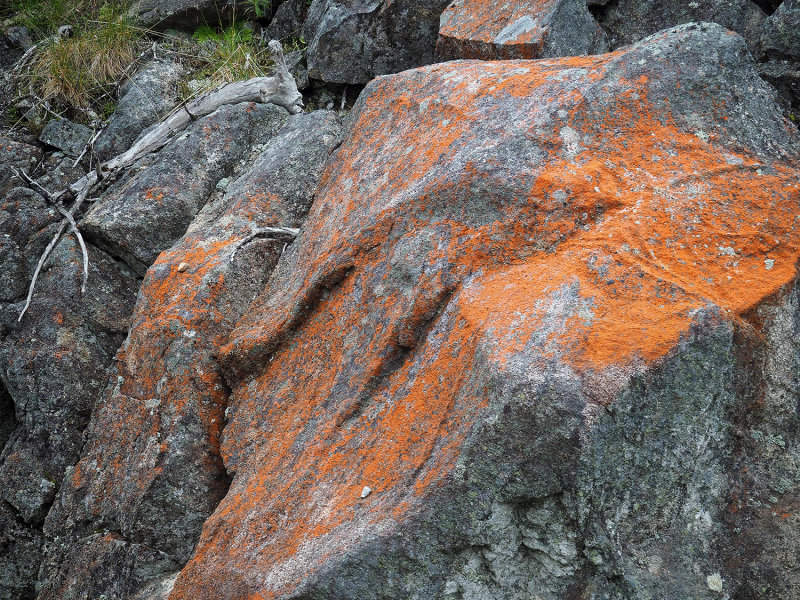 155_OM1B0348.JPG