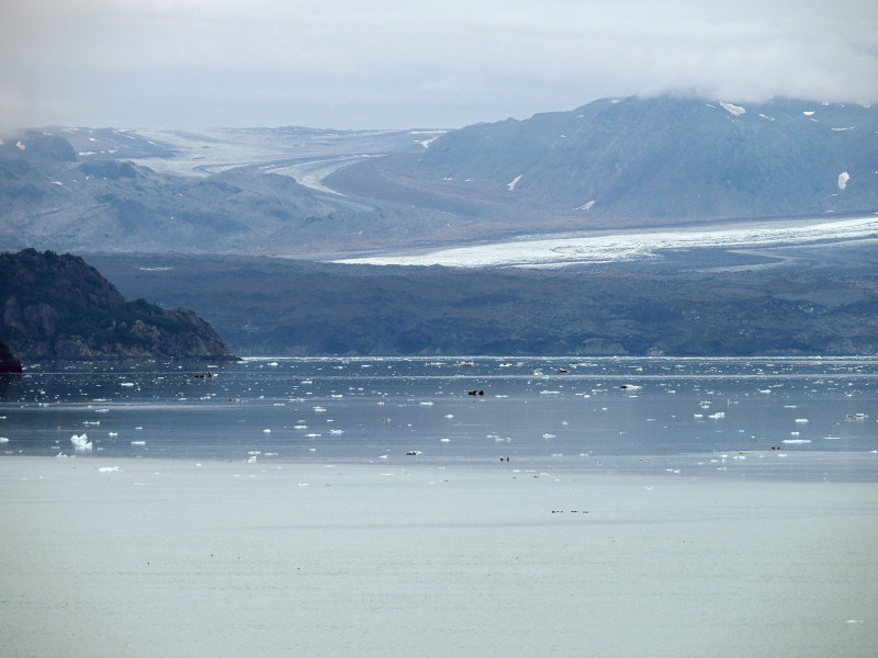 185_OM1B0442.JPG