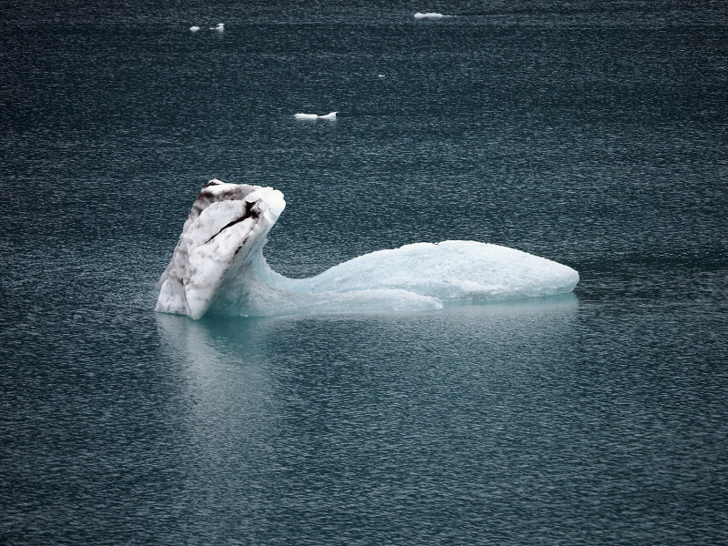 284_OM1B0743.JPG