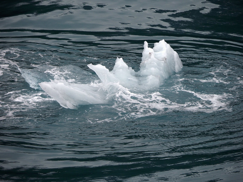 296_OM1B0796.JPG