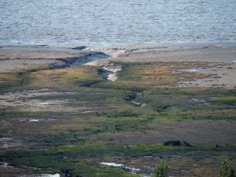 409_OM1B1134.JPG