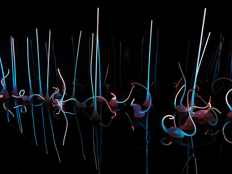 462_OM1B1186.JPG