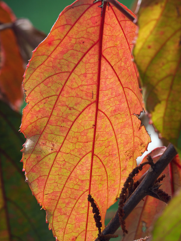 147_OM1A0619.JPG