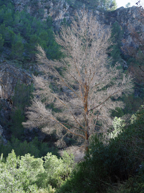 200_OM1B0696.JPG