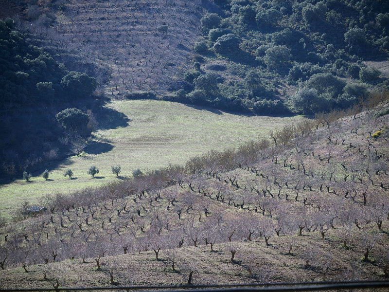 225_OM1A0825.JPG